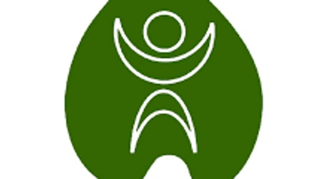 Video Ads Agency