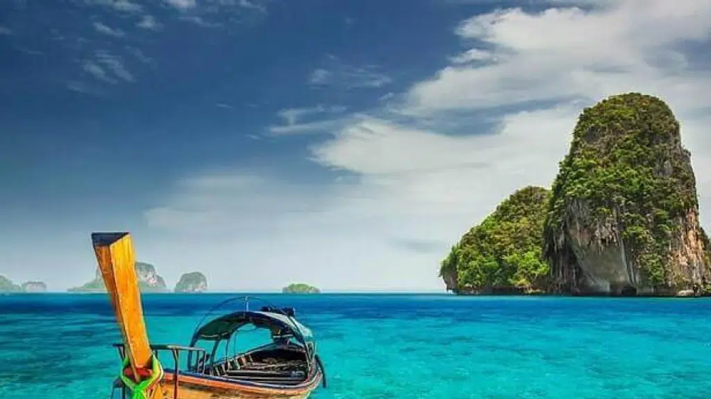 Tours & Travels Company  | Tripazzi