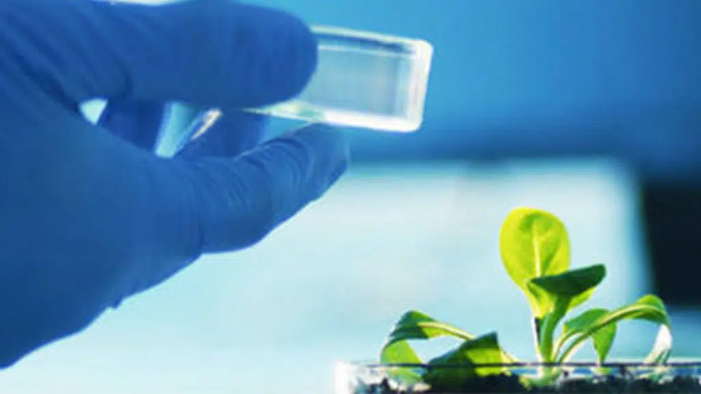 Prions Biotech Pvt Ltd.