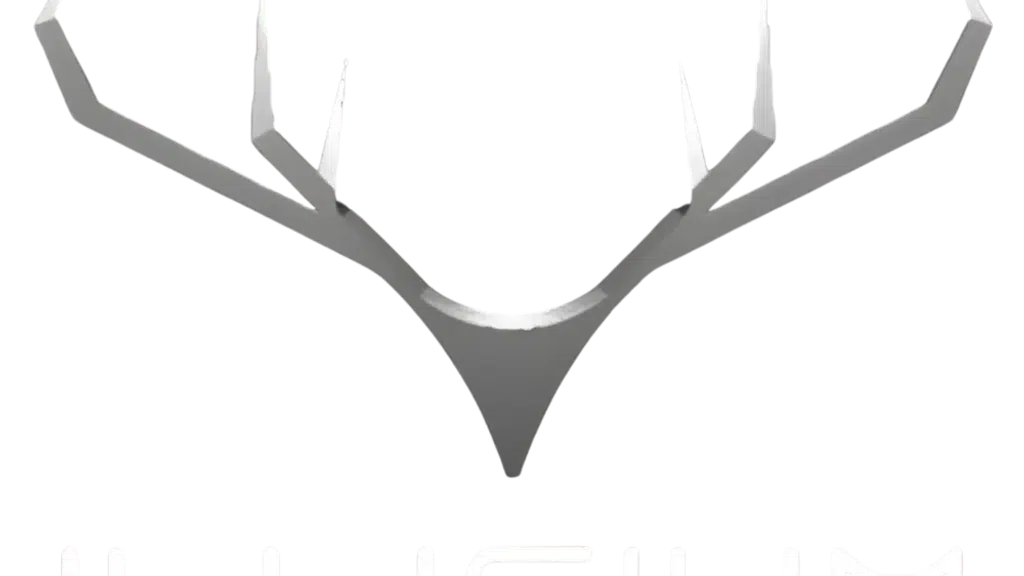 Illicium Motors