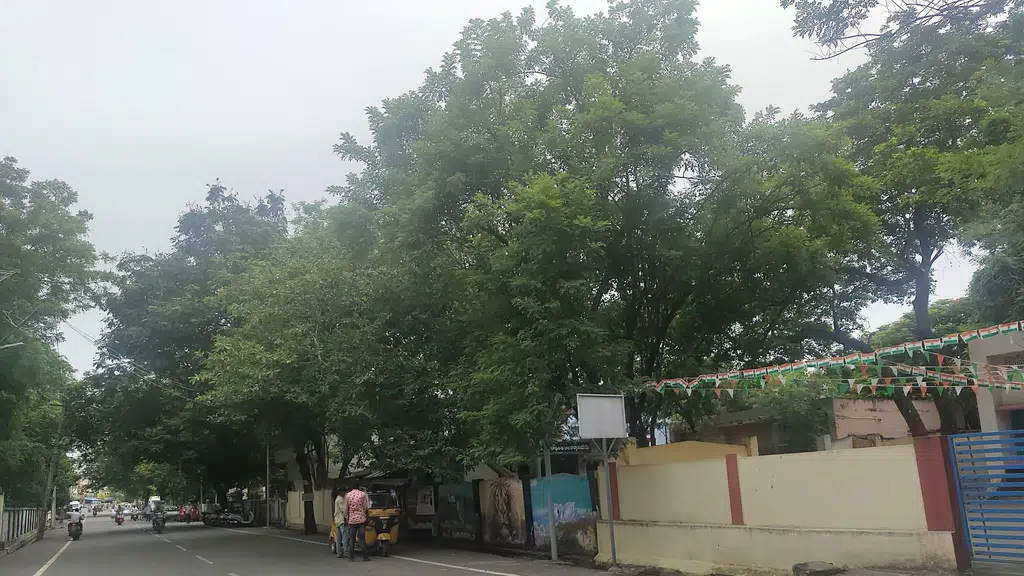 Forest Department Office