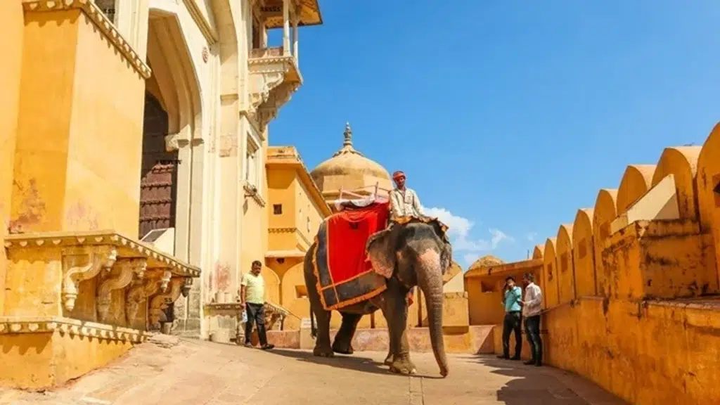 Bella India Tours