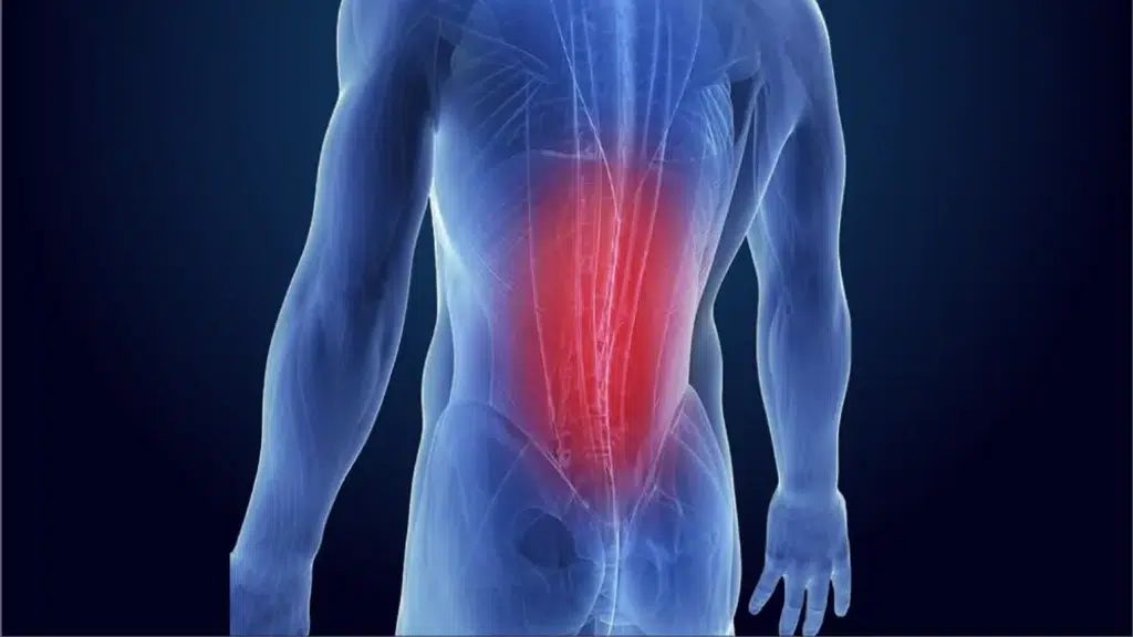 VertiCal Spine