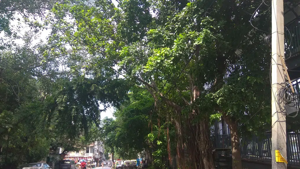 Nehru Nagar Market-Nehru Nagar