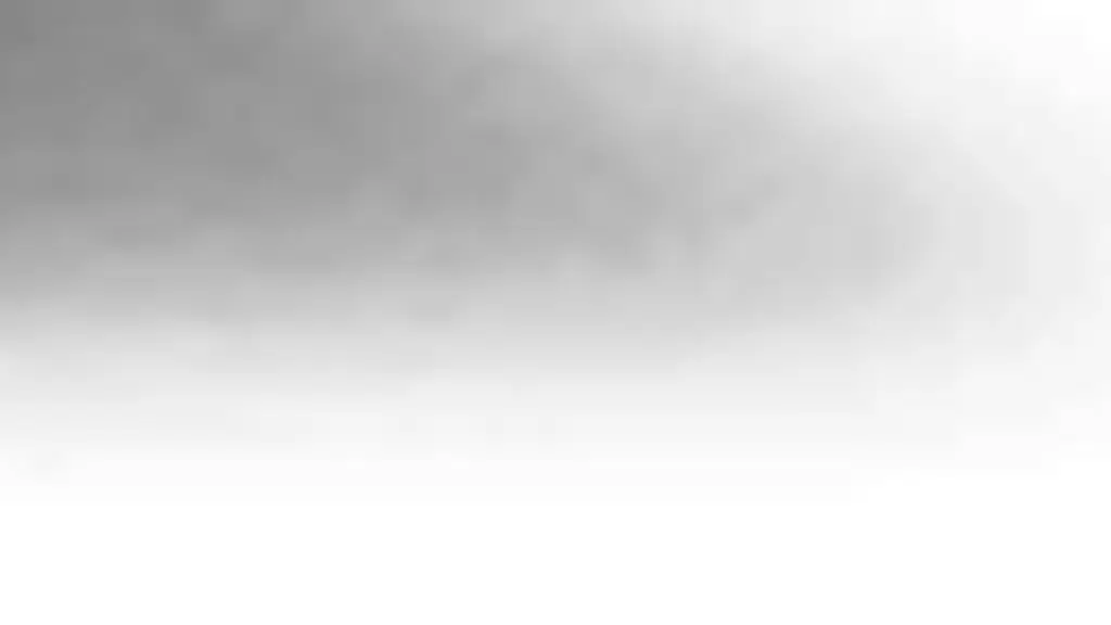 Shreeji Consultancy Services