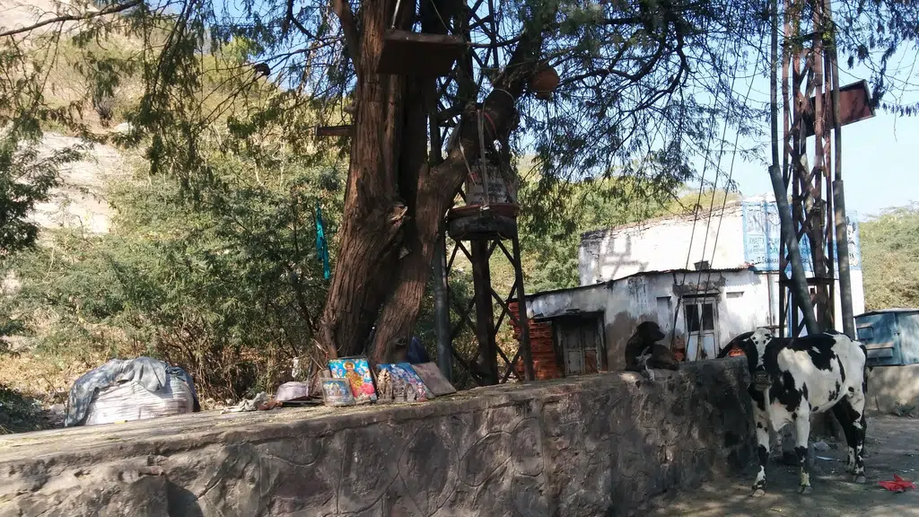 Shankar Nagar Amer Road Jaipur