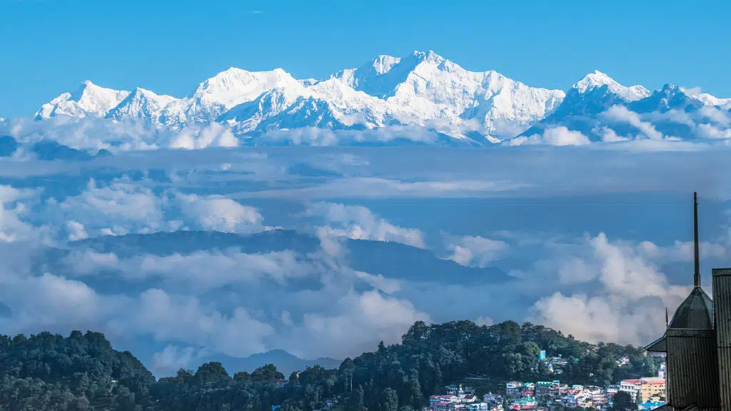 Rare Himalayas