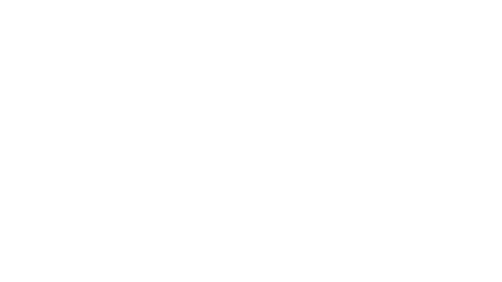 Delux Diesel Spares