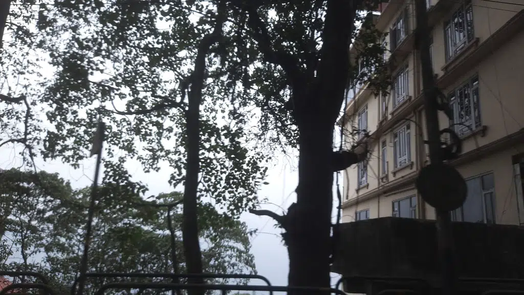 Dewachen Retreat Hotel