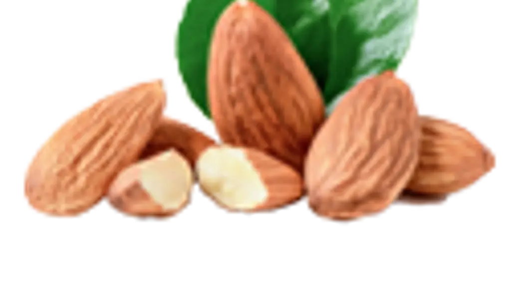 Nalaas