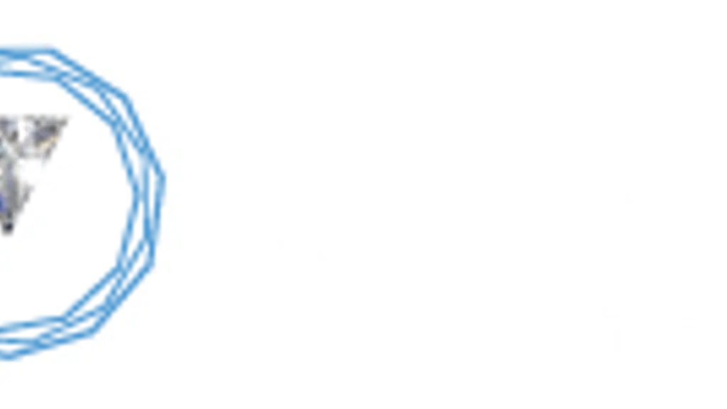 Venus Jewellers