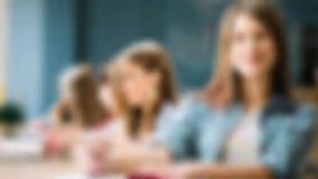 Merit  Academy, Algapur.