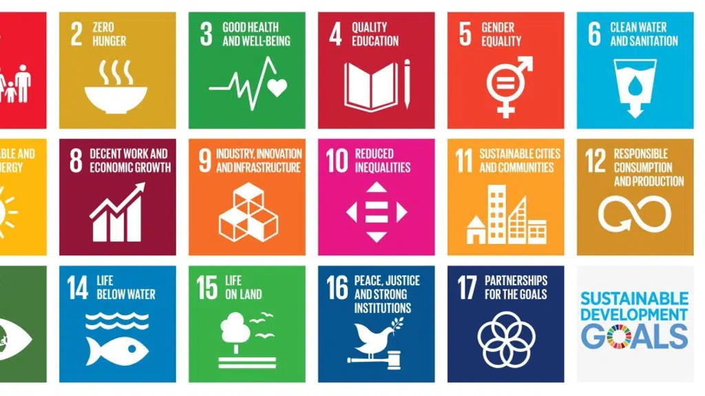 Sustainable Livelihood Initiative India