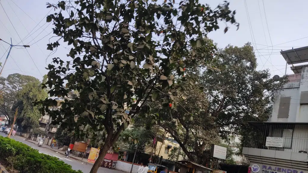HrudaySparsh Heart Care Centre