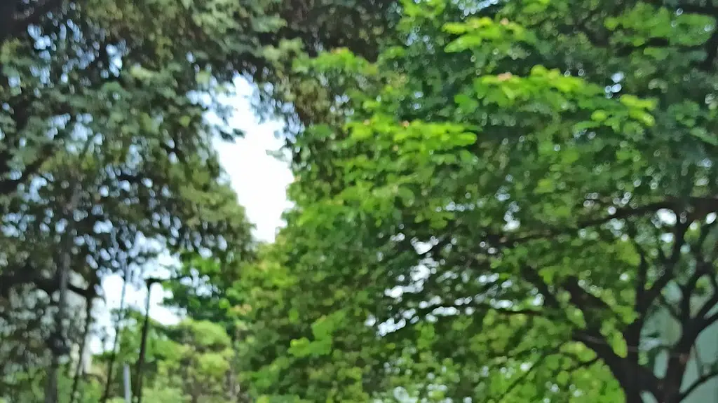 Hotel Vishwa Saagar