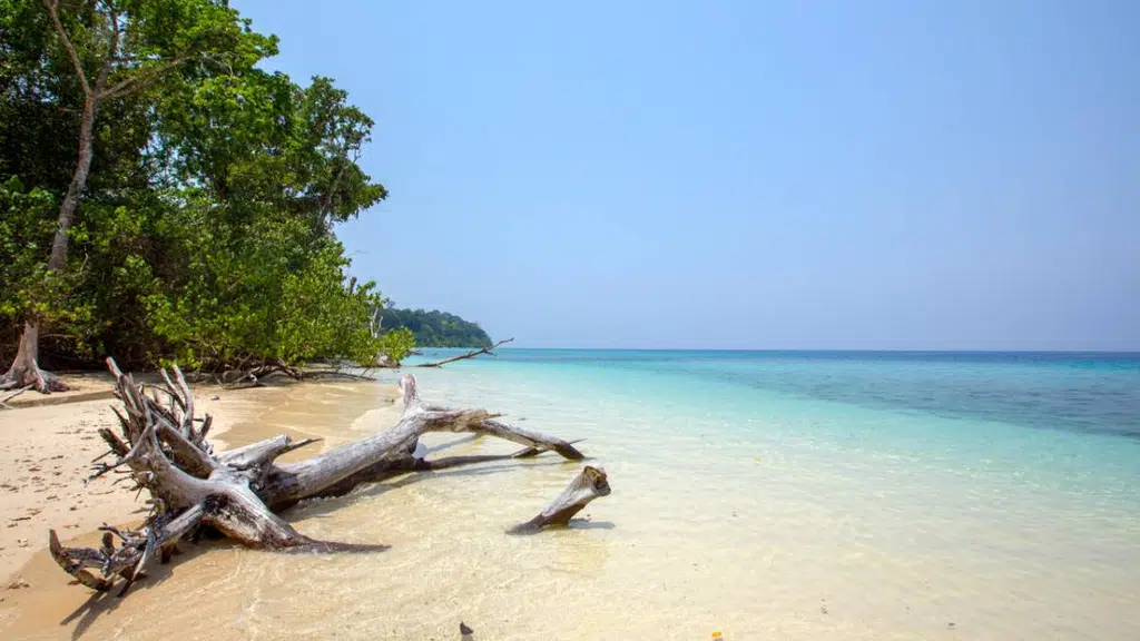 Mystical Andaman