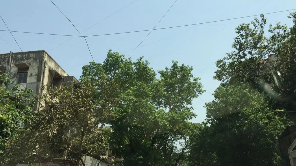 Bhavesh Sports House