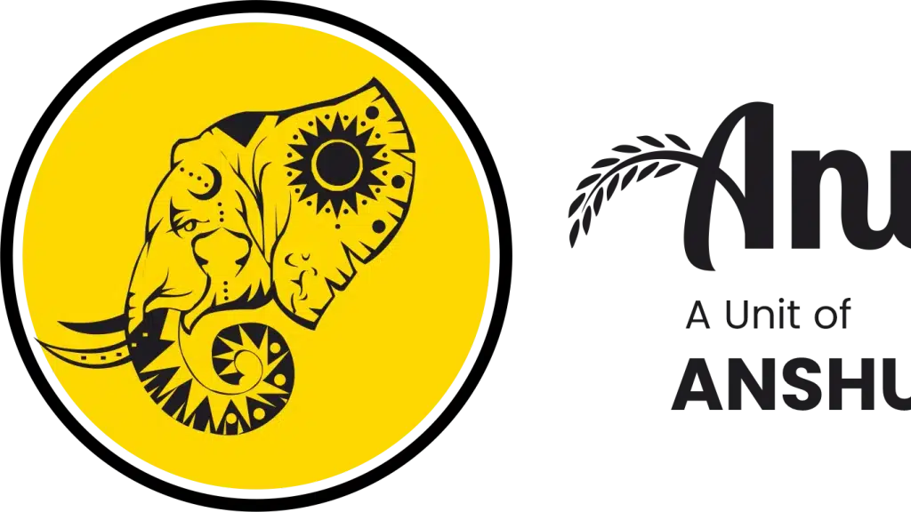 Anvi Little India Pvt Ltd