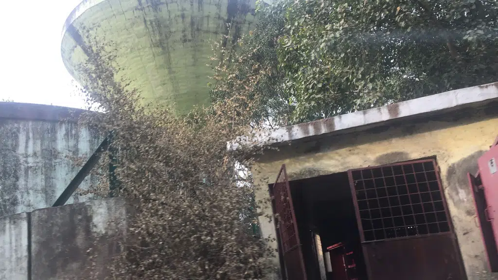 Gourdhar Bhawan