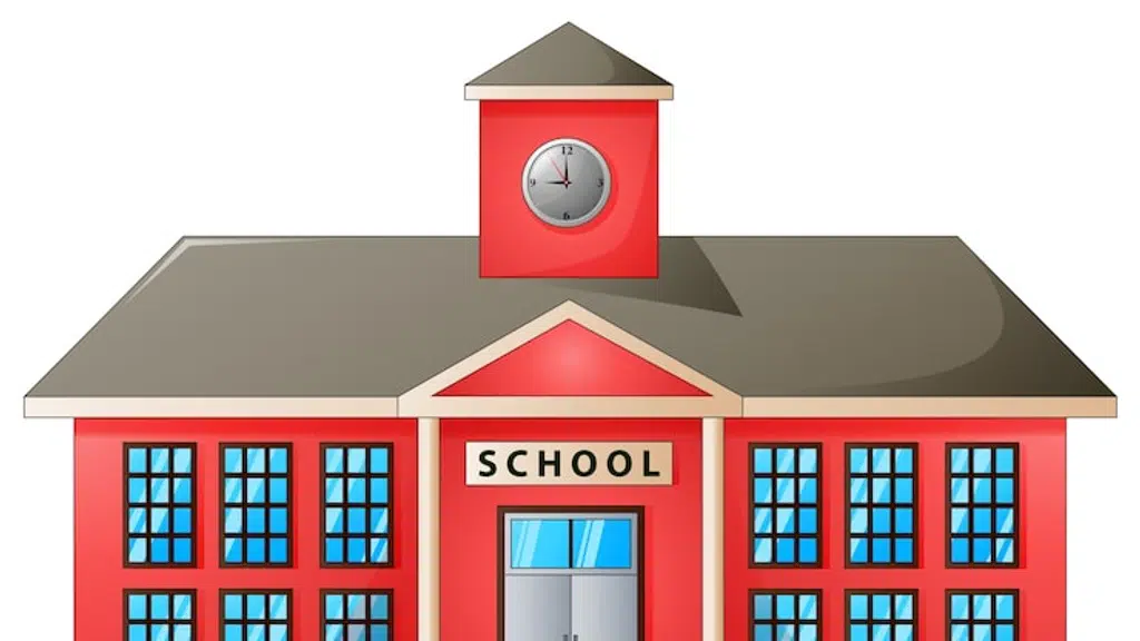 Allama Iqbal International School