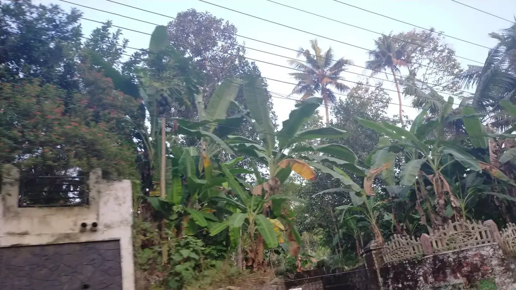 St. Thomas Knanaya Catholic Church Kuruppanthara
