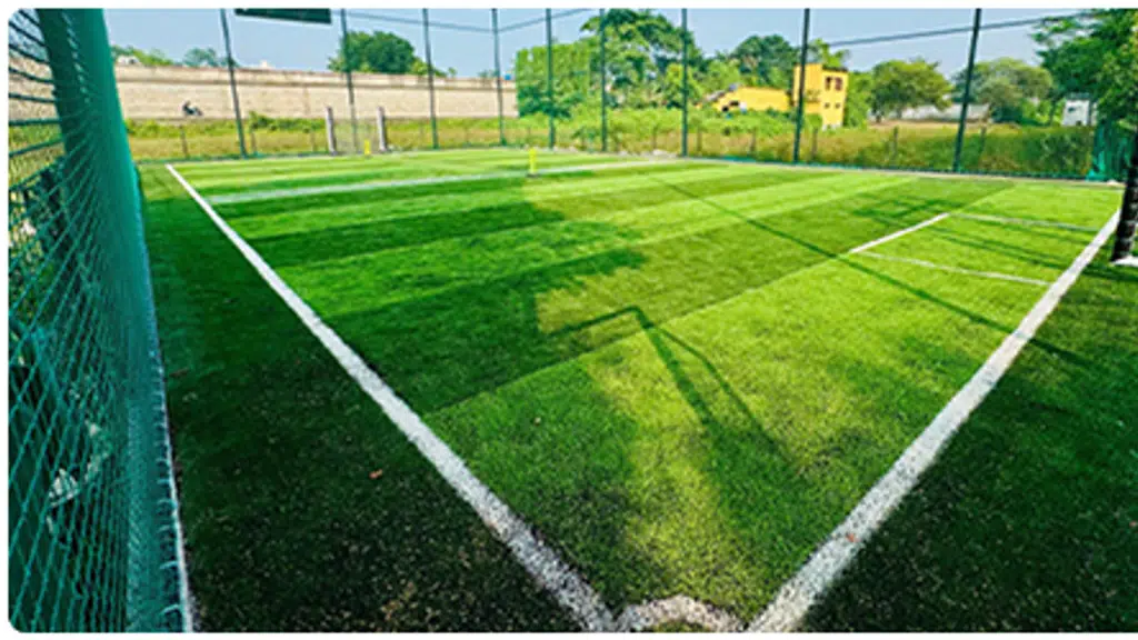 Vincent Arena Turf