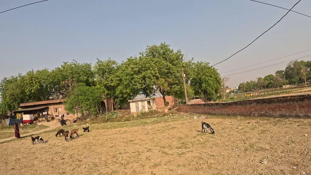 Patanjali Chikitsalaya & Store, Dafi, Varanasi