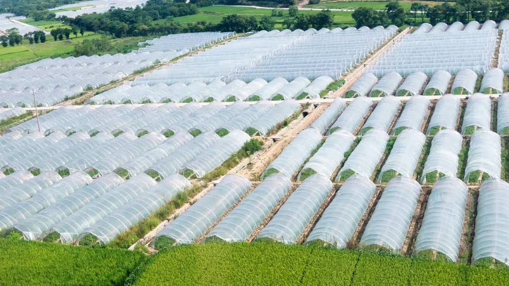 STIPL Agritech