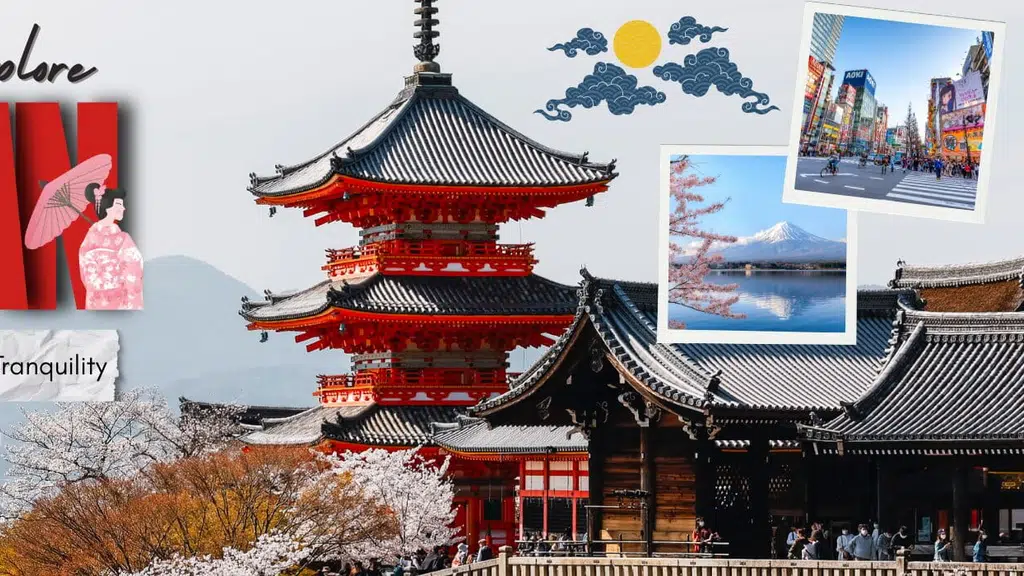 Travel and Tourist Vacations