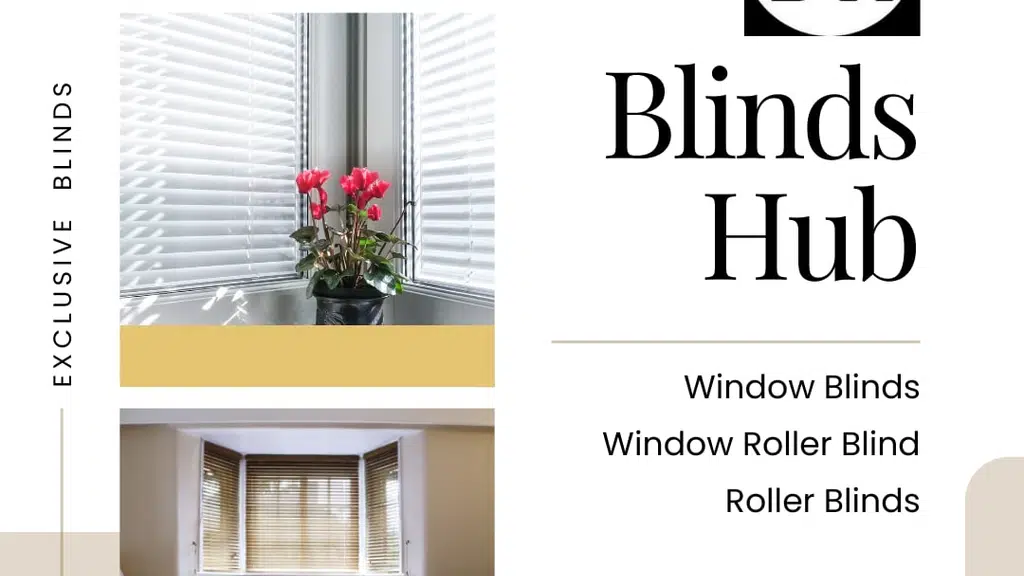 blindshub_01