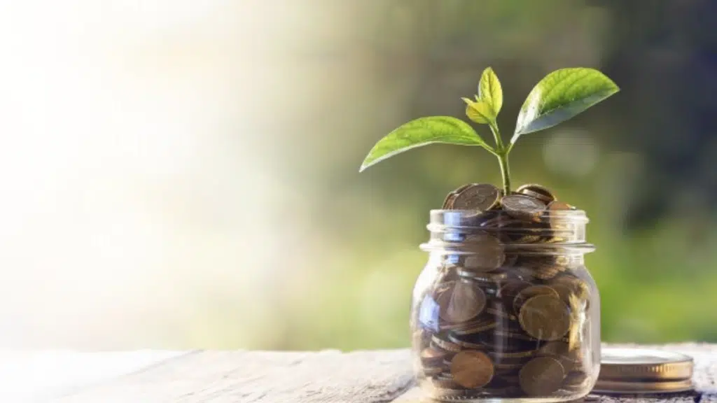 Resurgent India Limited