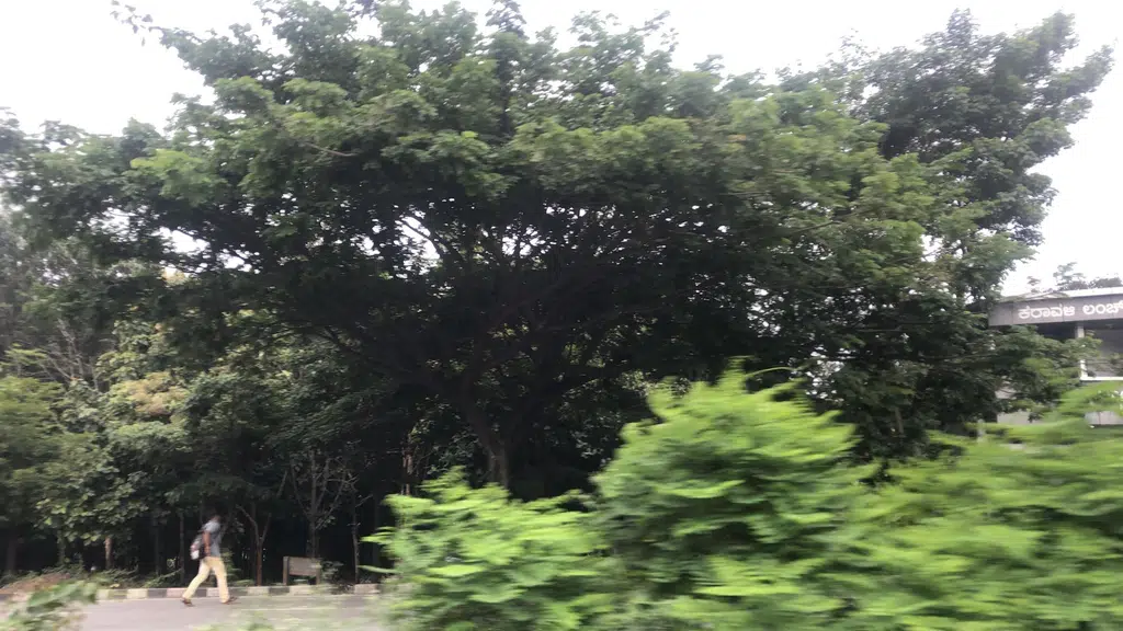 NEXA (Bimal Auto Agency, Bengaluru, Nagarbhavi)