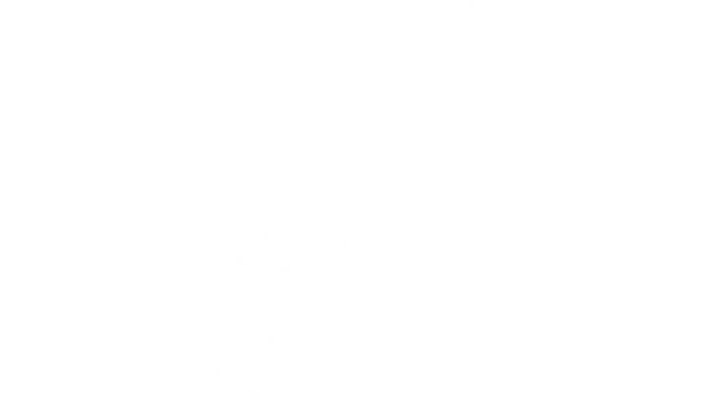 Sree Krishna Residency