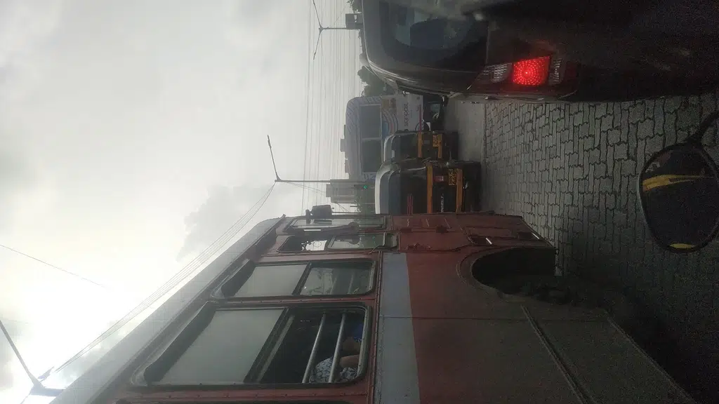 Sakaria Bros