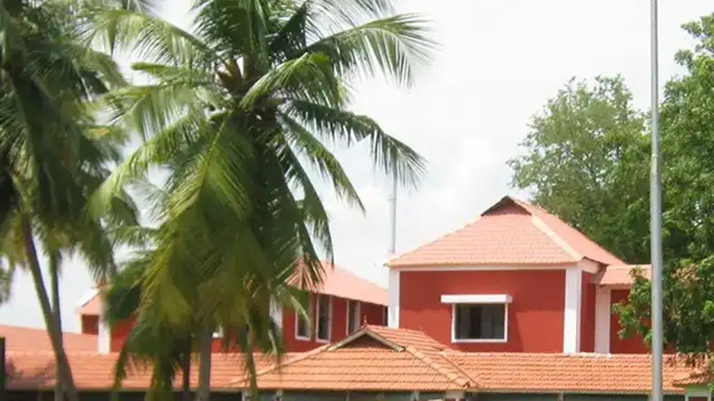 AVN Arogya Ayurvedic Health Care