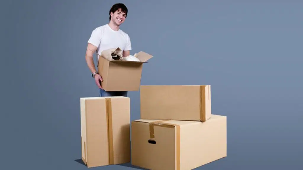 Economical cargo p&m & logistics