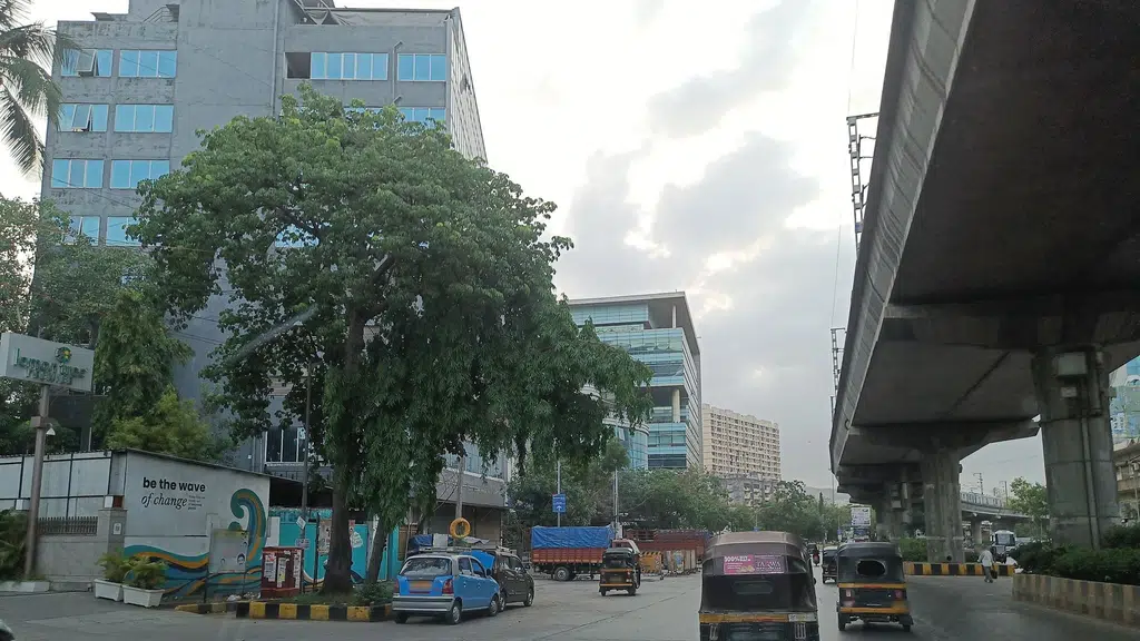 opticalpalaceghatkopar