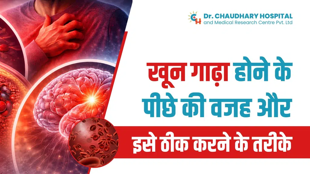 Chaudhary Hospital & Medical Research Centre Private Limited