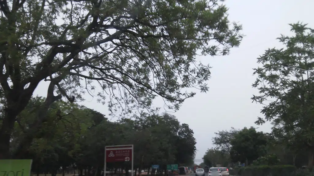 Ayurved Panchakarma Hospital