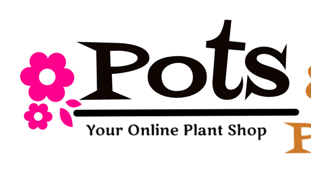 Pots and Petals