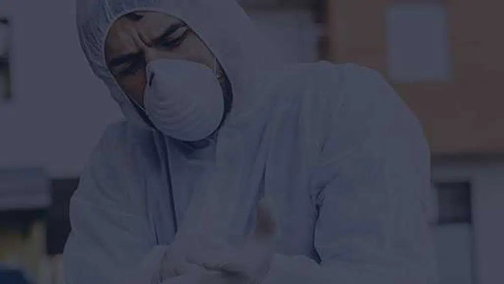 Zero Pest Management Services | Pest Control  & Delhi