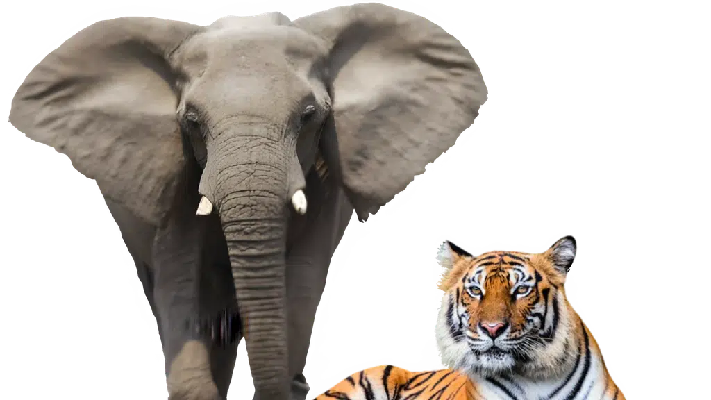 Wildlife Adventure India Private Limited