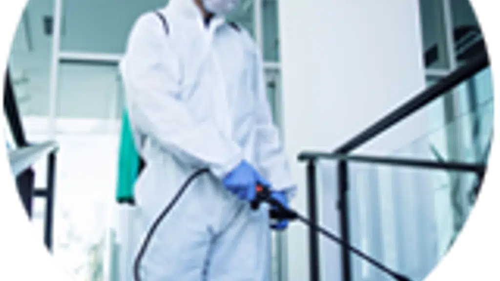 CYC Global Pest Control