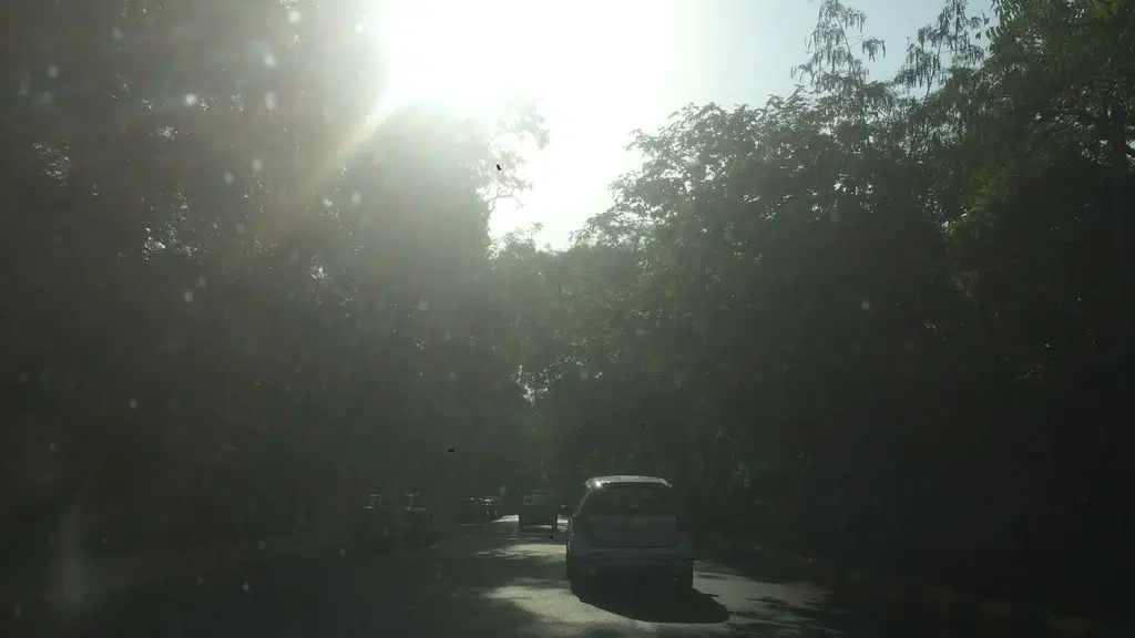 Rajnigandha-DSEC,Delhi University