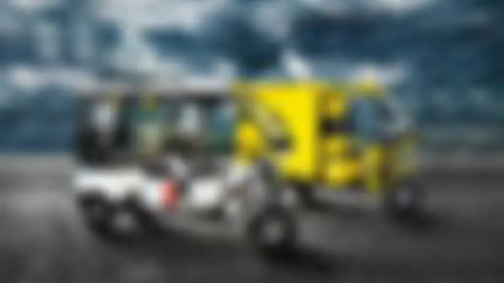 Dilli Electric Auto Pvt Ltd - CityLife E-Rickshaw