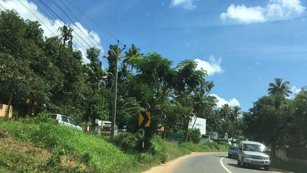 Thachapallil super market