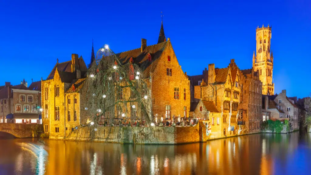 Amazing Holidays