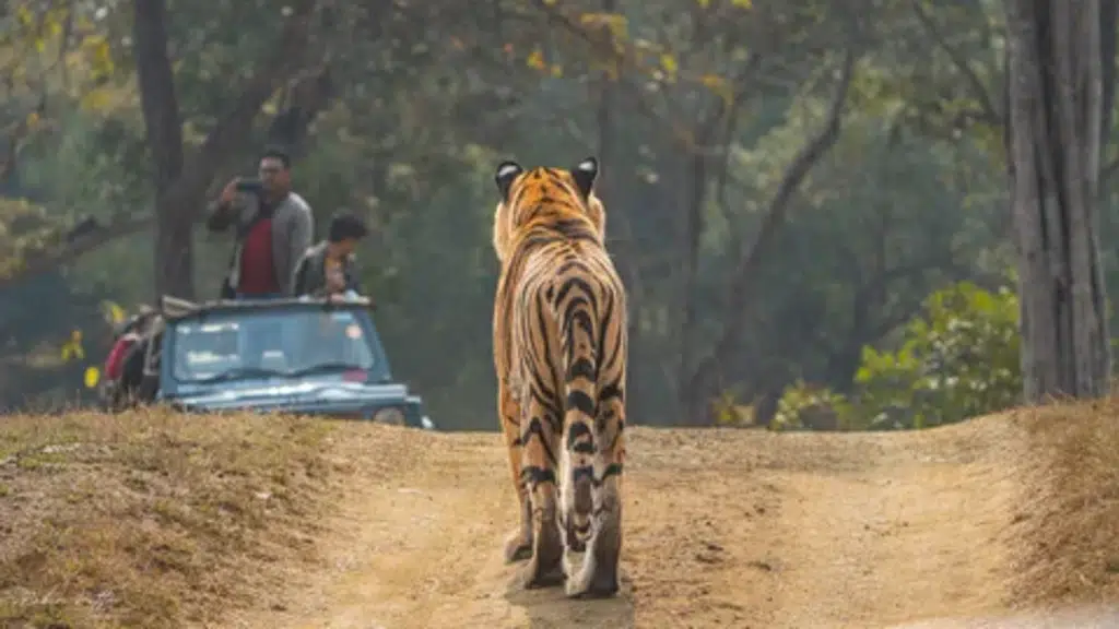 Ranthambore Tiger Reserve