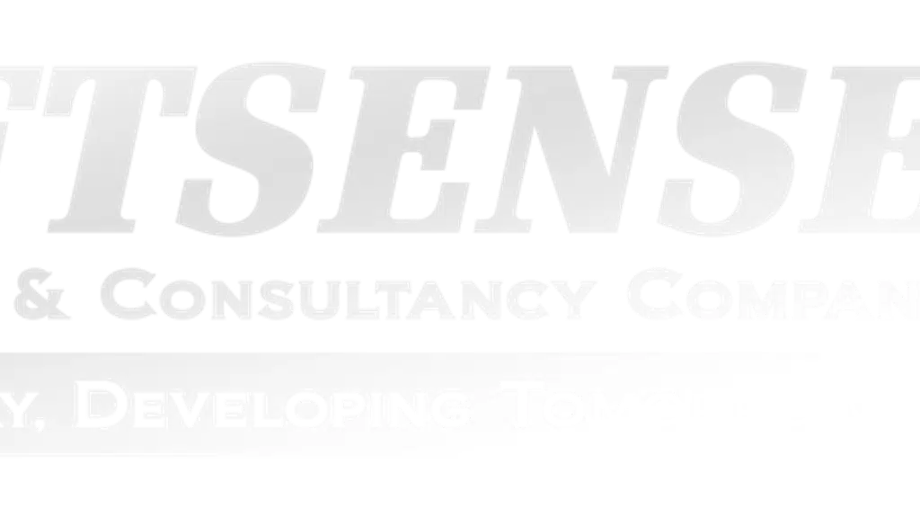 Swiftsense Consultancy and IT Services