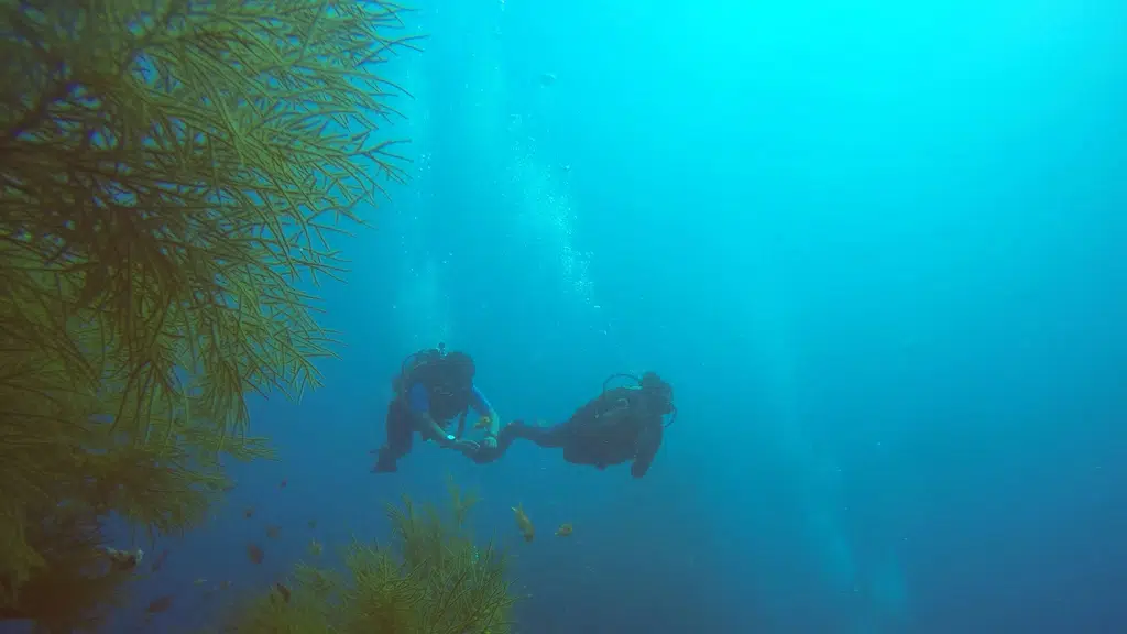 Visit2Andaman